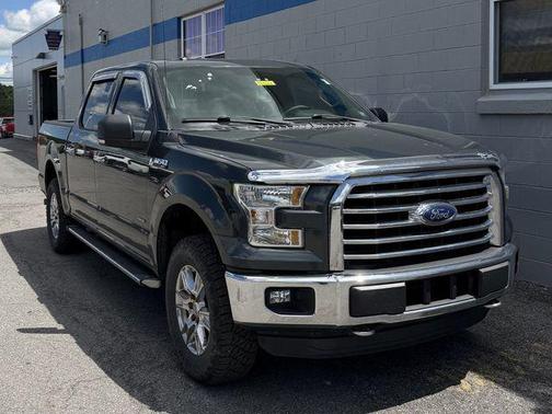 GUARD METALLIC 2015 Ford F-150 XLT