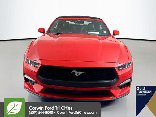 Rapid Red Metallic Tinted Clearcoat 2024 Ford Mustang EcoBoost Premium