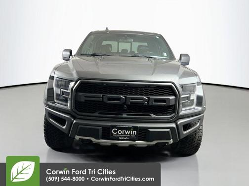 Magnetic Metallic 2019 Ford F-150 Raptor