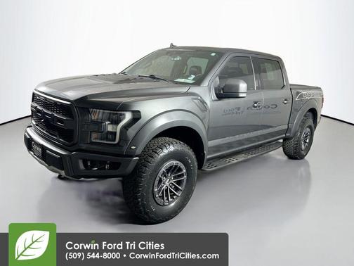 Magnetic Metallic 2019 Ford F-150 Raptor