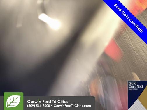 2021 Ford F-350 Platinum