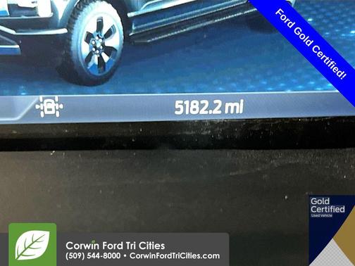 2024 Ford F-150 Lightning Platinum