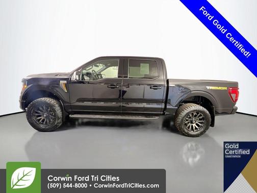 Agate Black Metallic 2025 Ford F-150 Tremor