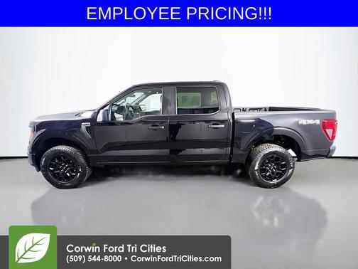 Agate Black Metallic 2026 Ford F-150 STX