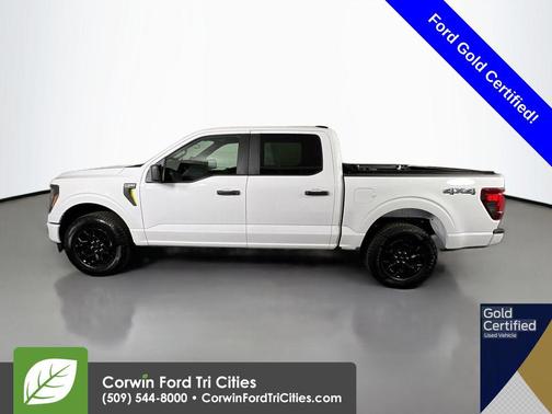 Oxford White 2025 Ford F-150 STX