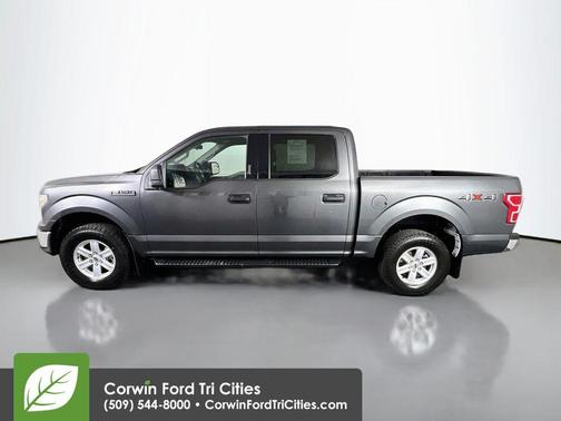 Magnetic Metallic 2019 Ford F-150 XLT