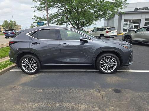 Cloudburst Gray 2025 Lexus NX 350 Premium