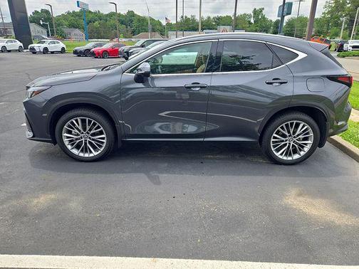 Cloudburst Gray 2025 Lexus NX 350 Premium