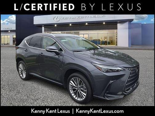 Cloudburst Gray 2025 Lexus NX 350 Premium
