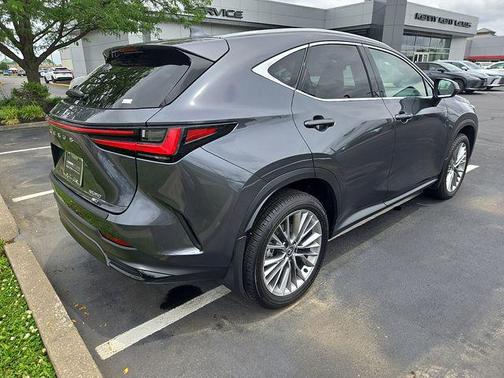 Cloudburst Gray 2025 Lexus NX 350 Premium