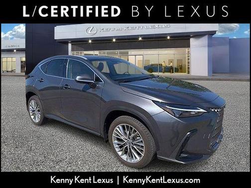 Cloudburst Gray 2025 Lexus NX 350 Premium