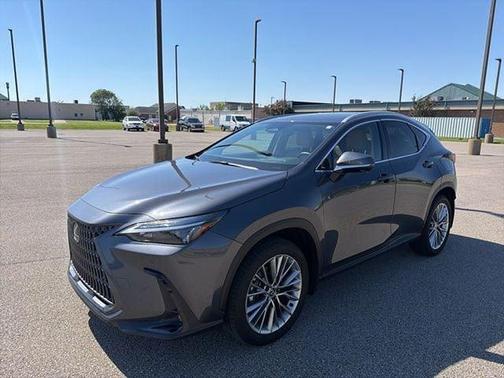 Cloudburst Gray 2025 Lexus NX 350 Premium