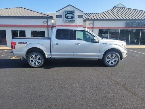 Ingot Silver 2019 Ford F-150 Platinum