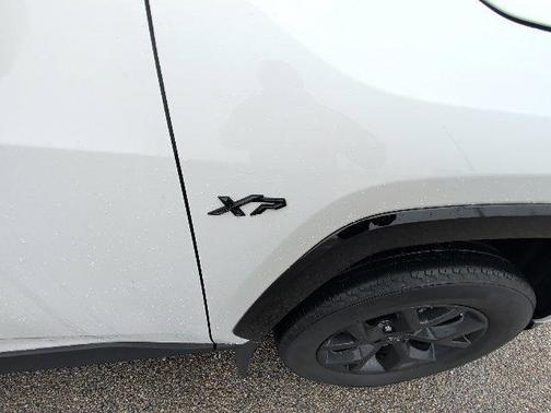 Ice Cap 2024 Toyota RAV4 LE