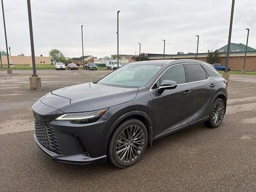 Cloudburst Gray 2024 Lexus RX 350 Luxury