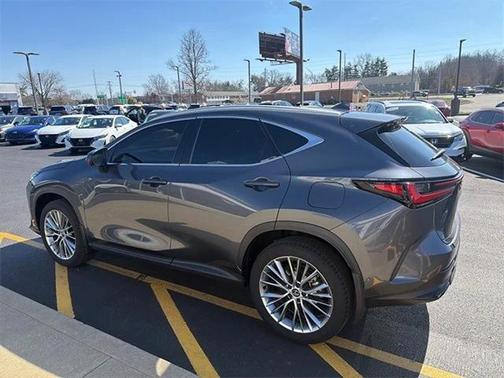 2024 Lexus NX 350h Luxury