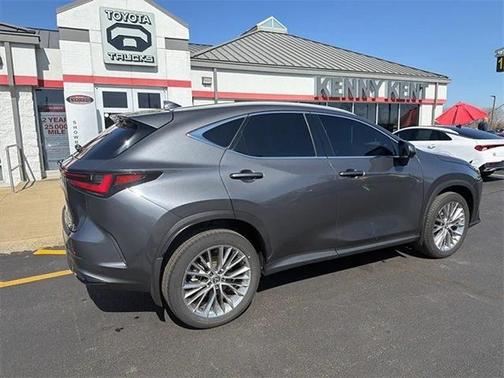 2024 Lexus NX 350h Luxury