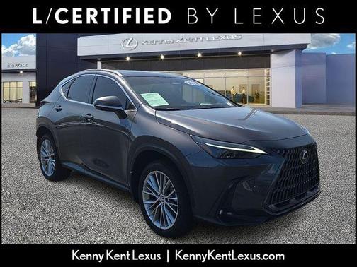 Cloudburst Gray 2024 Lexus NX 350h Luxury