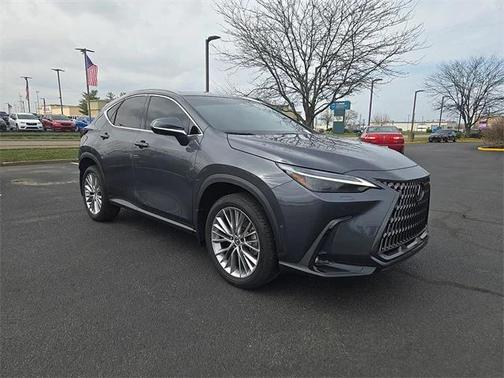 2024 Lexus NX 350h Luxury