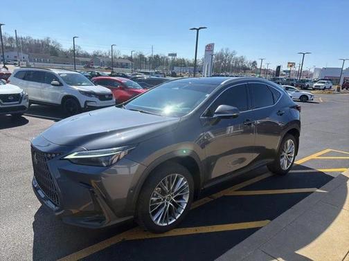 2024 Lexus NX 350h Luxury
