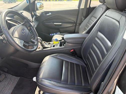 Magnetic 2019 Ford Escape SEL