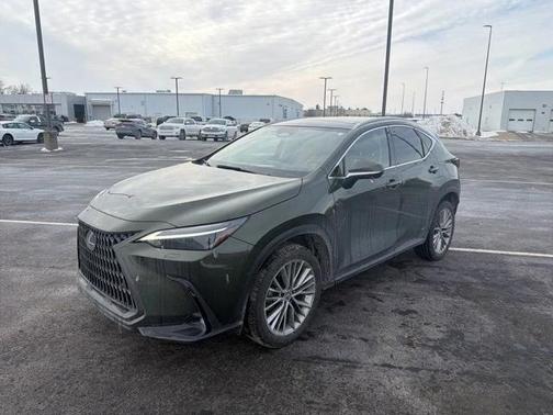 2024 Lexus NX 350h Luxury