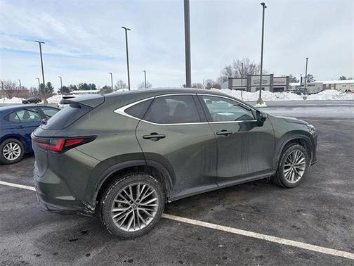 2024 Lexus NX 350h Luxury