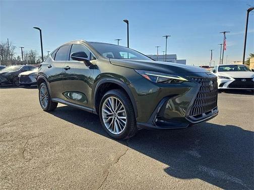 2024 Lexus NX 350h Luxury
