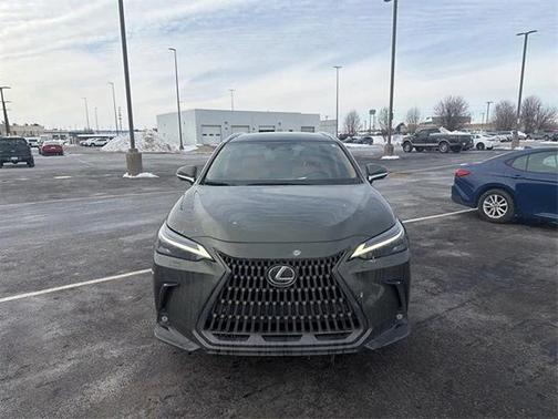 2024 Lexus NX 350h Luxury