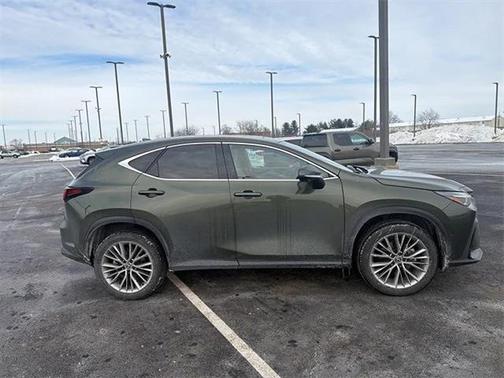 2024 Lexus NX 350h Luxury