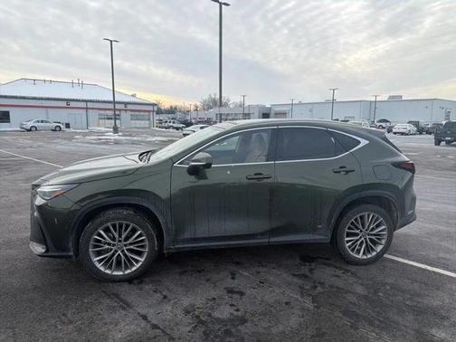 2024 Lexus NX 350h Luxury