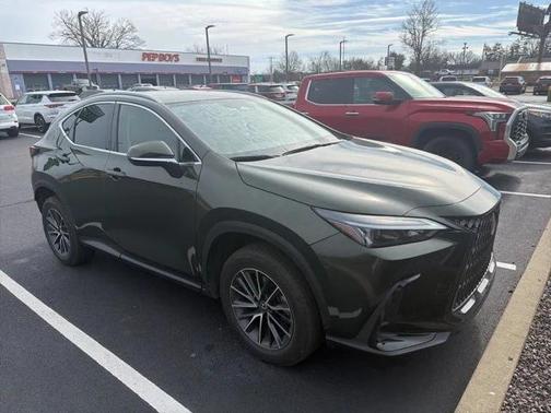2025 Lexus NX 350h AWD