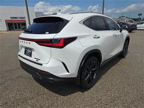 2025 Lexus NX 450h+ Luxury