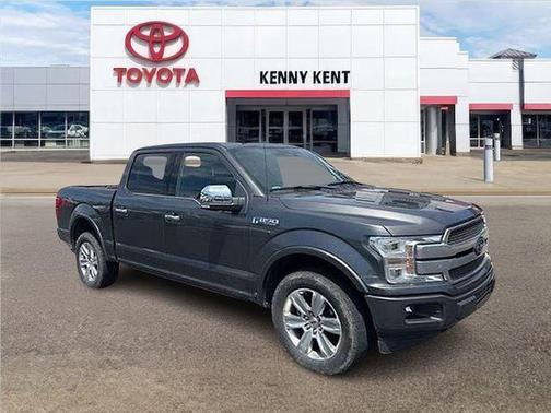 Magnetic 2018 Ford F-150 Platinum