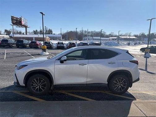 2025 Lexus NX 350h Premium