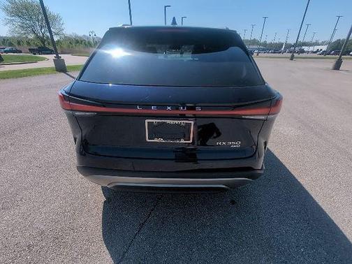 Mica 2025 Lexus RX 350 Luxury