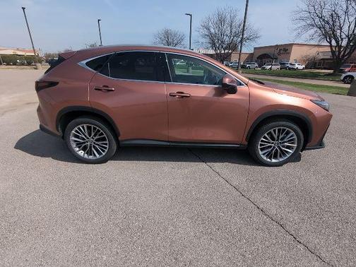 Copper 2025 Lexus NX 350 Premium