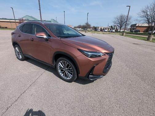 Copper 2025 Lexus NX 350 Premium