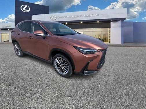 Copper 2025 Lexus NX 350 Premium
