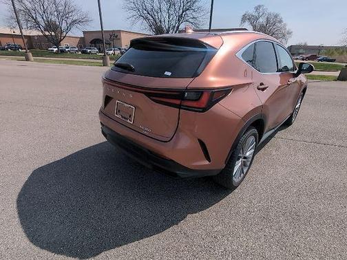 Copper 2025 Lexus NX 350 Premium