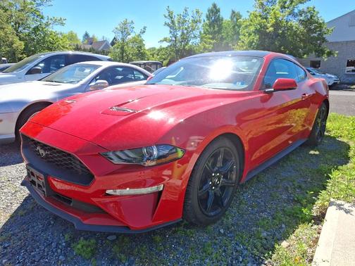 Race Red 2019 Ford Mustang EcoBoost Premium