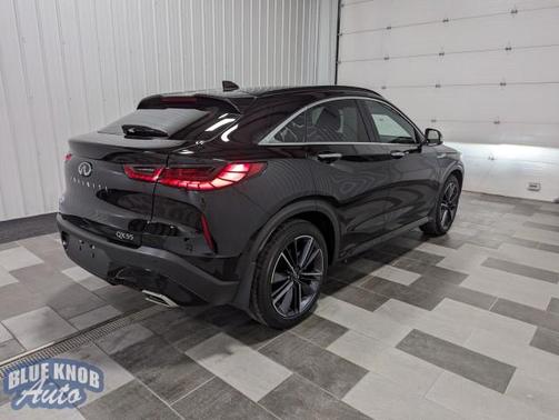 2025 INFINITI QX55 LUXE