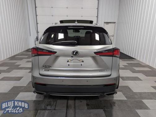 2021 Lexus NX 300 F Sport