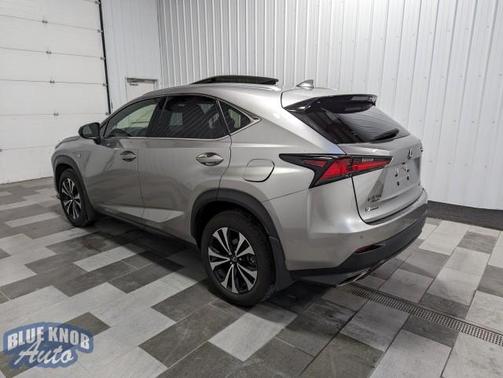 2021 Lexus NX 300 F Sport