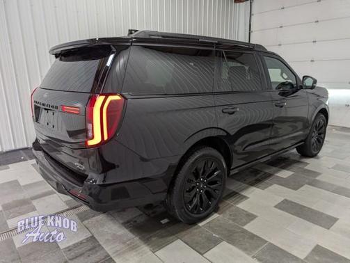 Agate Black Metallic 2025 Ford Expedition Platinum