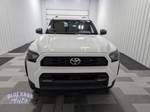 Ice Cap 2025 Toyota 4Runner TRD Off Road