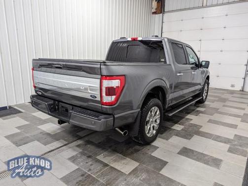 2022 Ford F-150 Platinum