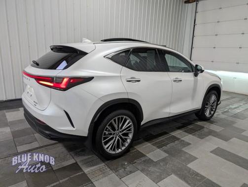 2024 Lexus NX 350 Luxury
