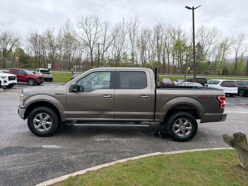 Stone Gray Metallic 2019 Ford F-150 XLT