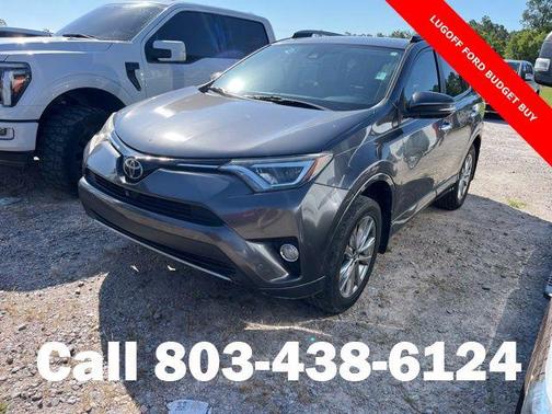 Magnetic Gray Metallic 2017 Toyota RAV4 Platinum